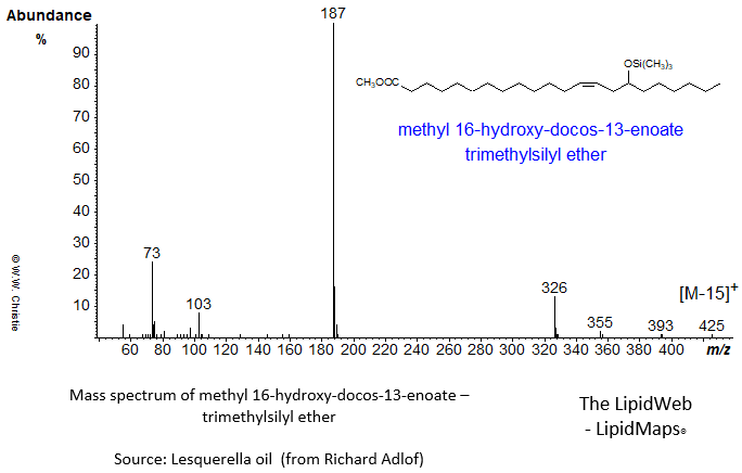 Mass spectrum of 16-hydroxy-docos-13-enoate - TMS