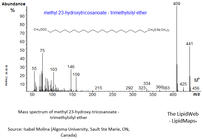 Mass spectrum of methyl 23-hydroxy-tricosanoate - TMS