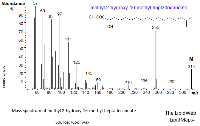 mass spectrum of 2-hydroxy-16-methyl-heptadecanoate