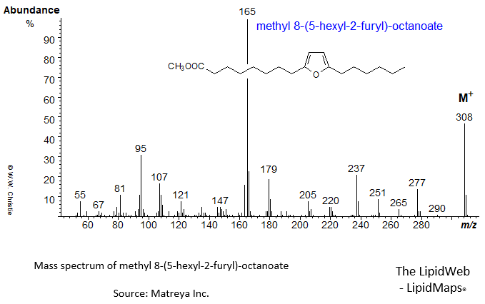 Mass spectrum of methyl 8-(5-hexyl-2-furyl)-octanoate