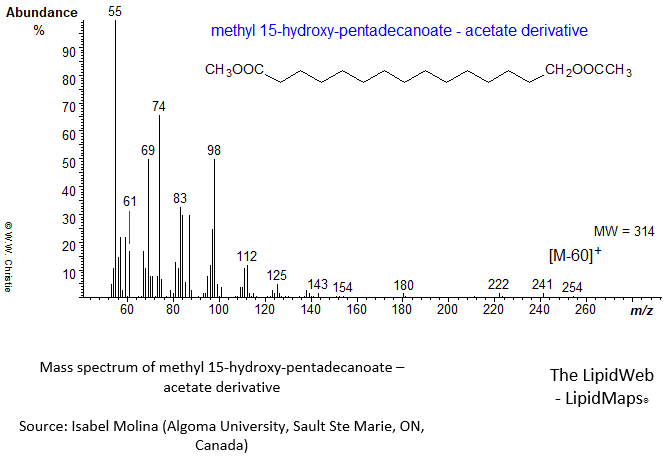 Mass spectrum of methyl 15-hydroxy-pentadecanoate - acetate