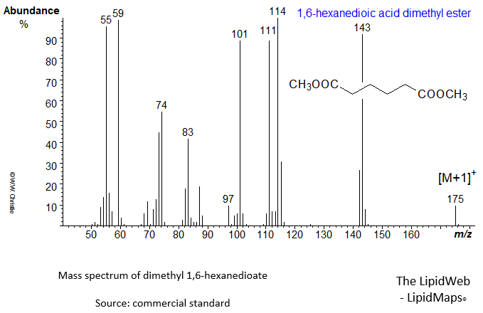 mass spectrum of dimethyl 1,6-hexanedioate