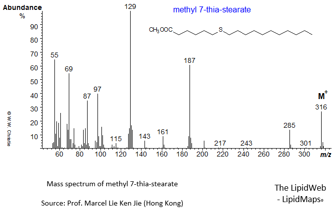 Mass spectrum of methyl 7-thia-stearate