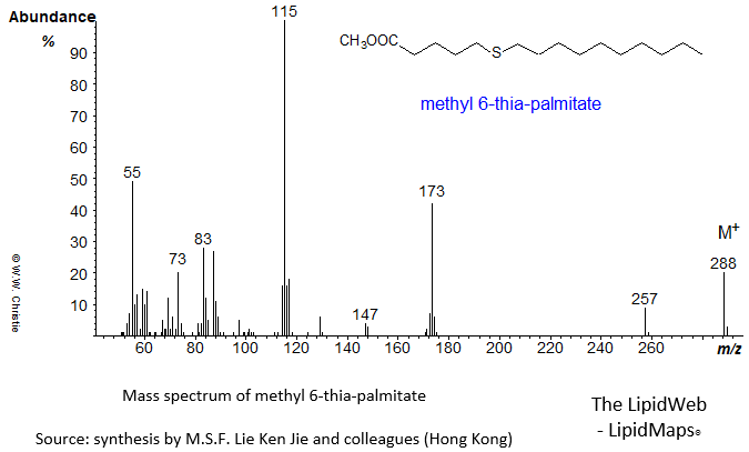 Mass spectrum of methyl 6-thia-palmitate
