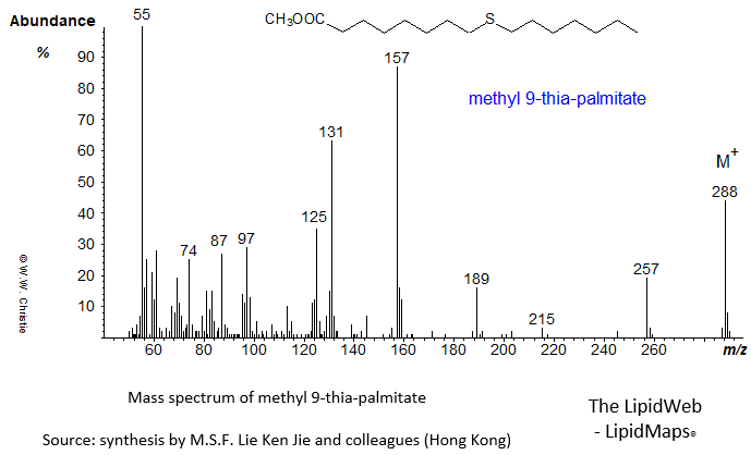 Mass spectrum of methyl 9-thia-palmitate