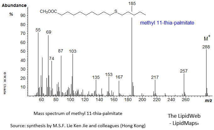 Mass spectrum of methyl 11-thia-palmitate
