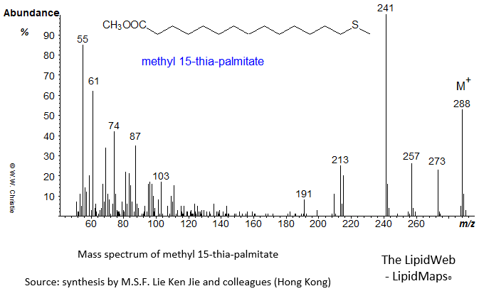 Mass spectrum of methyl 15-thia-palmitate