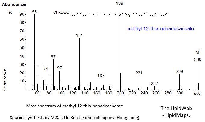 Mass spectrum of methyl 12-thia-nonadecanoate