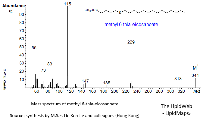 Mass spectrum of methyl 6-thia-eicosanoate