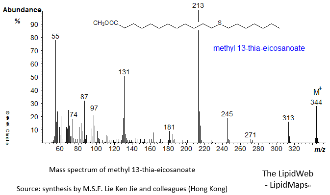 Mass spectrum of methyl 13-thia-eicosanoate