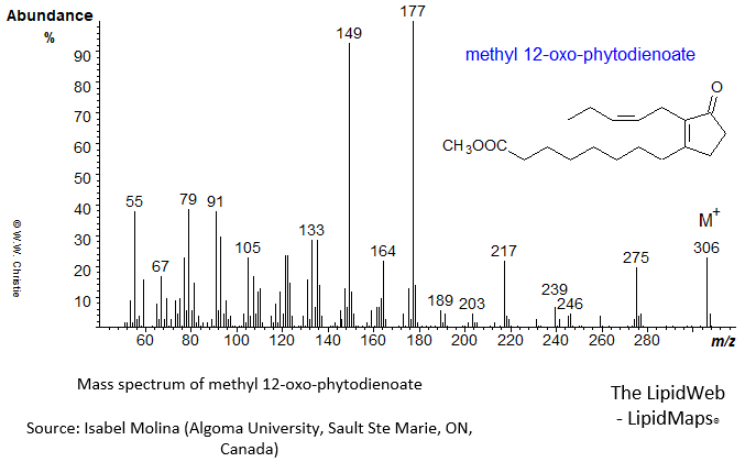 Mass spectrum of methyl 12-oxophytodienoate
