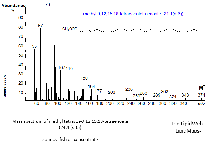 mass spectrum