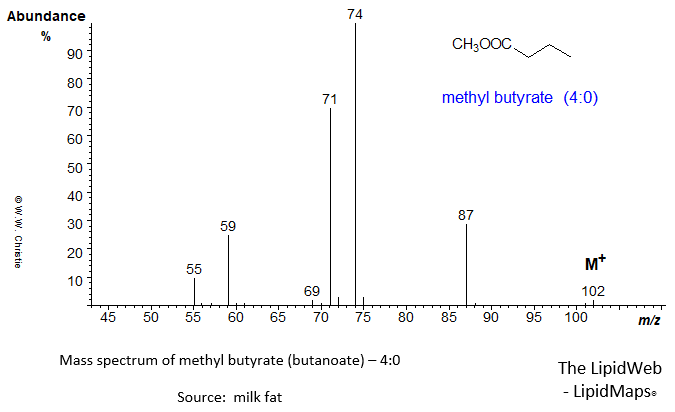 Mass spectrum of methyl butyrate (4:0)