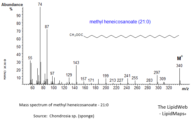 Mass spectrum of methyl heneicosanoate (21:0)