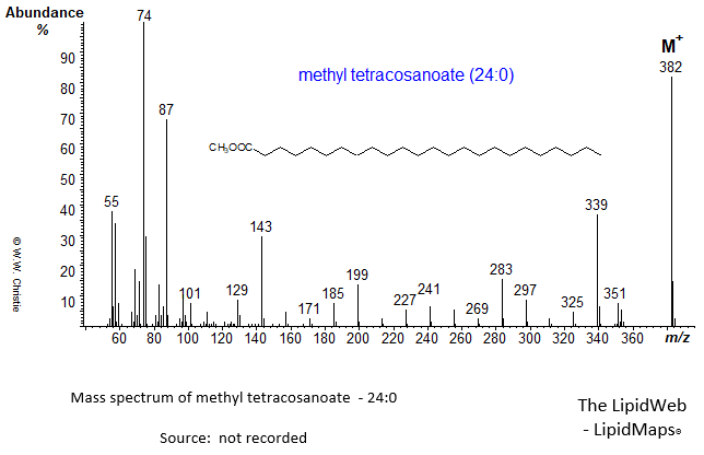 Mass spectrum of methyl tetracosanoate (24:0)