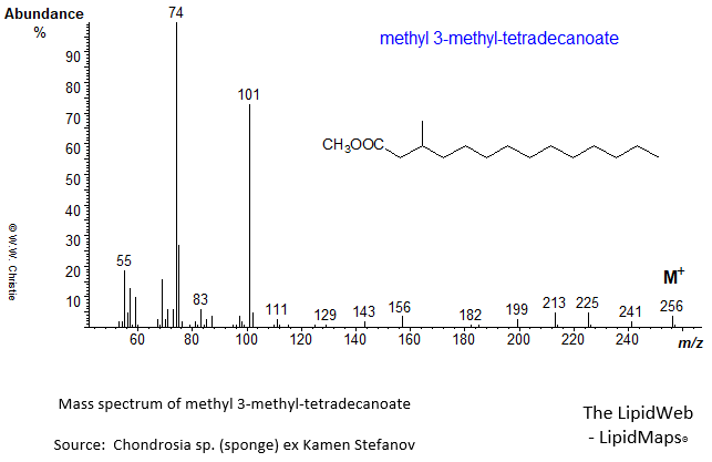 Mass spectrum of methyl 3-methyl-tetradecanoate