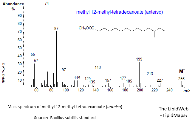 Mass spectrum of methyl 12-methyl-tetradecanoate (anteiso)