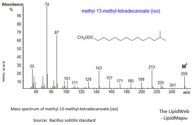 Mass spectrum of methyl 13-methyl-tetradecanoate (iso)