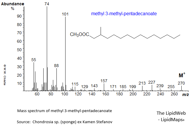 Mass spectrum of methyl 3-methyl-pentadecanoate