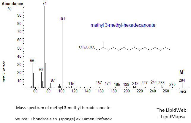 Mass spectrum of methyl 3-methyl-hexadecanoate