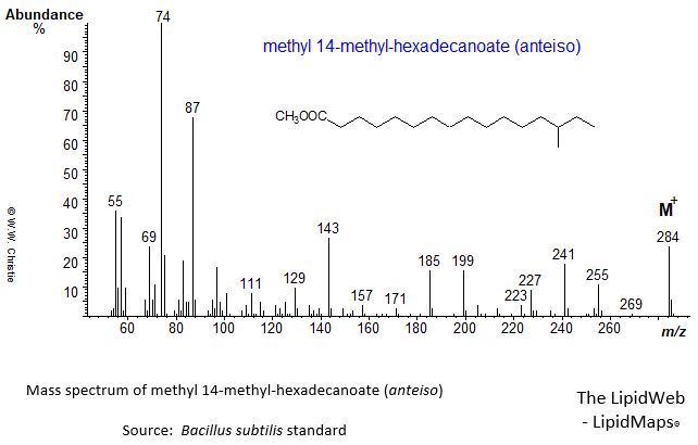 Mass spectrum of methyl 14-methyl-hexadecanoate (anteiso)