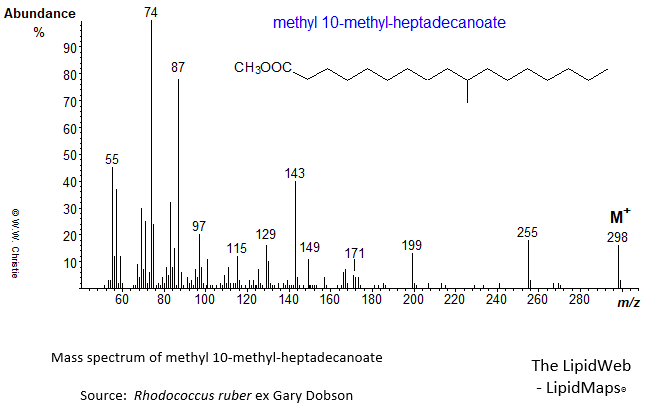 Mass spectrum of methyl 10-methyl-heptadecanoate