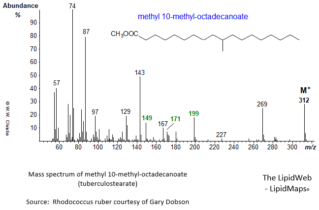 Mass spectrum of methyl 10-methyl-octadecanoate (tuberculostearate)