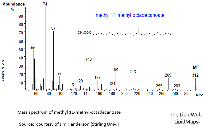 Mass spectrum of methyl 11-methyl-octadecanoate