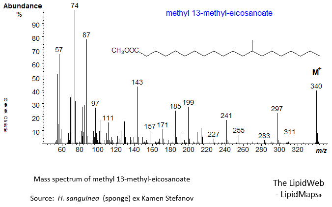 Mass spectrum of methyl 13-methyl-eicosanoate