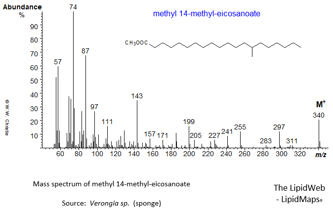 Mass spectrum of methyl 13-methyl-eicosanoate