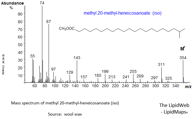 Mass spectrum of methyl 20-methyl-heneicosanoate (iso)