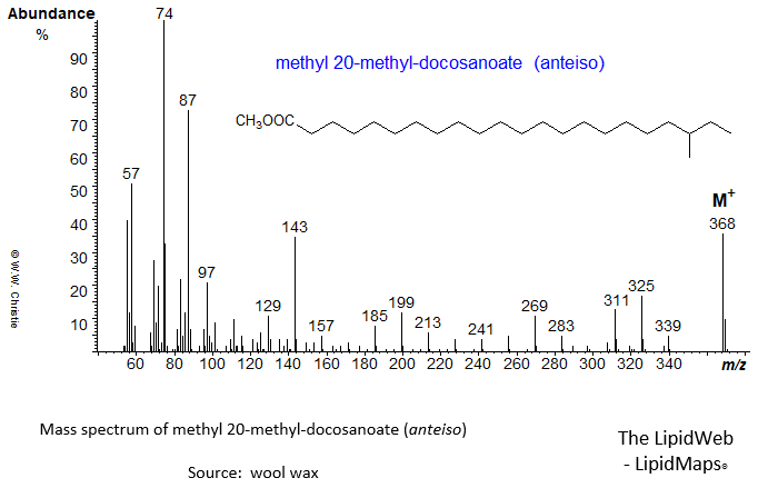 Mass spectrum of methyl 20-methyl-docosanoate (anteiso)