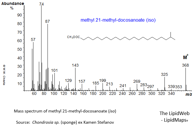 Mass spectrum of methyl 21-methyl-docosanoate (iso)