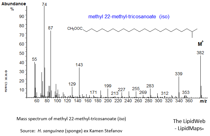 Mass spectrum of methyl 22-methyl-tricosanoate (iso)