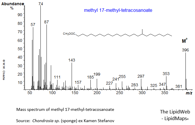 Mass spectrum of methyl 17-methyl-tetracosanoate