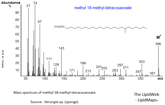 Mass spectrum of methyl 18-methyl-tetracosanoate