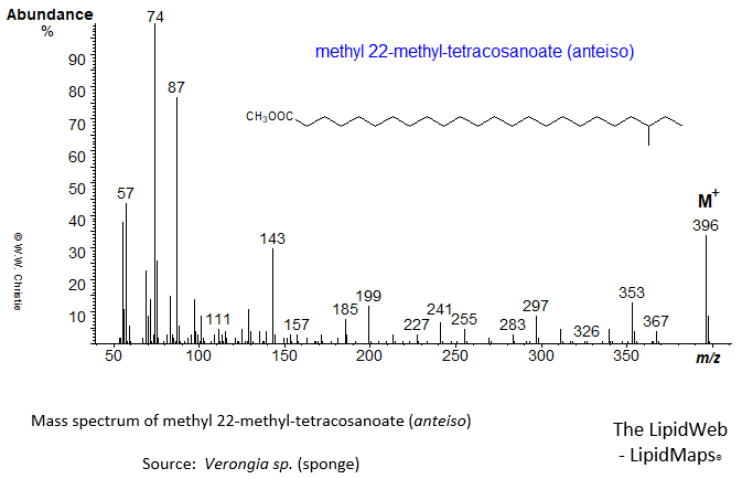 Mass spectrum of methyl 22-methyl-tetracosanoate (anteiso)