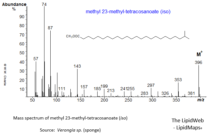 Mass spectrum of methyl 23-methyl-tetracosanoate (iso)