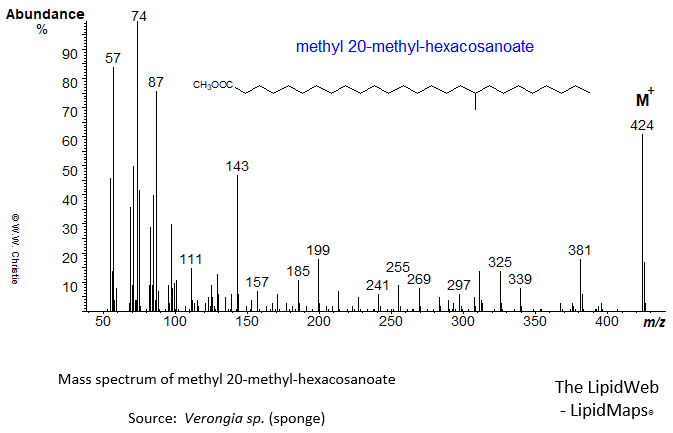 Mass spectrum of methyl 20-methyl-hexacosanoate