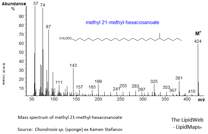 Mass spectrum of methyl 21-methyl-hexacosanoate