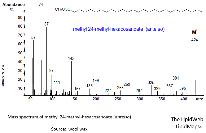 Mass spectrum of methyl 24-methyl-hexacosanoate (anteiso)