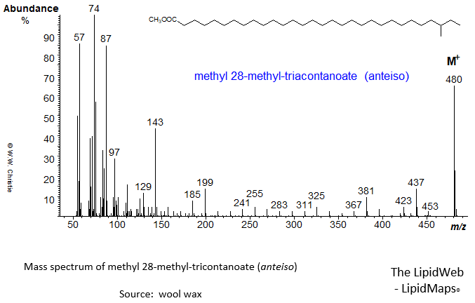 Mass spectrum of methyl 28-methyl-triacontanoate (anteiso)