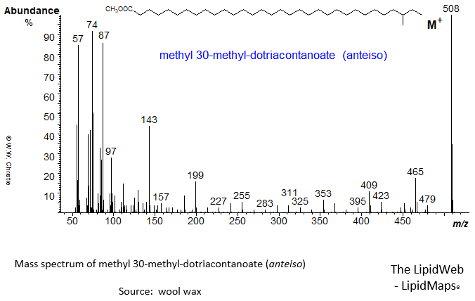 Mass spectrum of methyl 30-methyl-dotriacontanoate (anteiso)