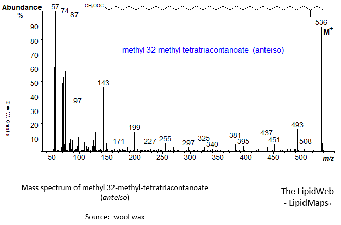 Mass spectrum of methyl 32-methyl-tetratriacontanoate (anteiso)