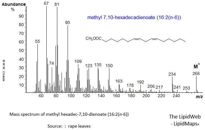 Mass spectrum of methyl 7,10-hexadecadienoate (16:2(n-6))