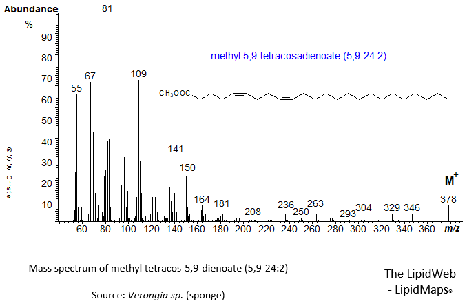 mass spectrum