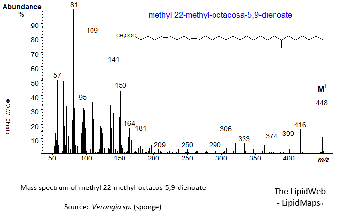 Mass spectrum of methyl 22-methyl-octacosa-5,9-dienoate