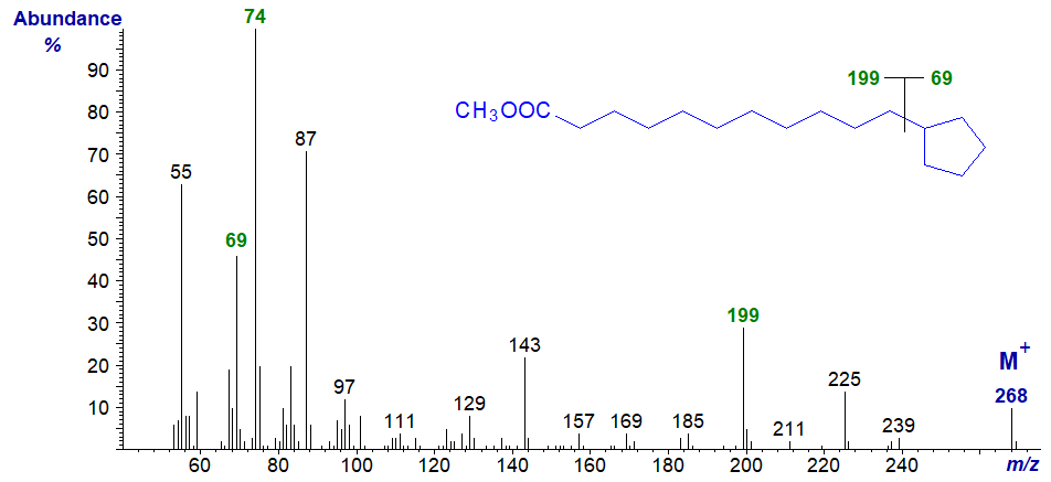 Mass spectrum of methyl 11-cyclopentylundecanoate