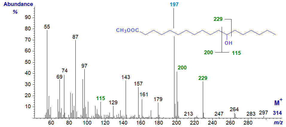 Mass spectrum of methyl 12-hydroxystearate