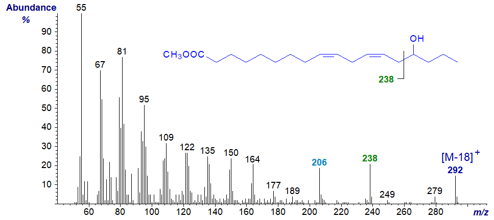 Mass spectrum of methyl 15-hydroxy-linoleate